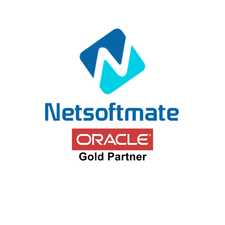 Netsoftmate Technologies Inc.